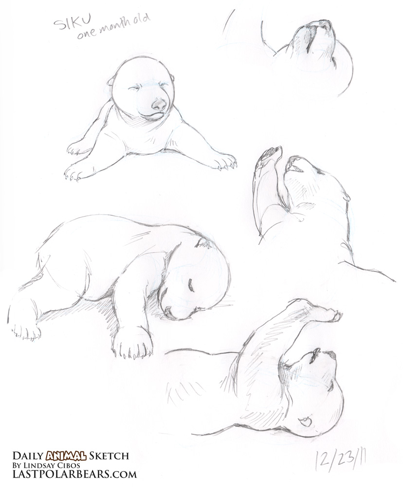 sketches of baby