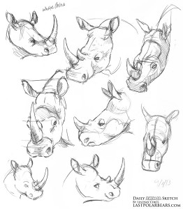 Daily_Animal_Sketch_123